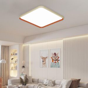 Lightsin Modern Dimmable LED Ceiling Light Flush Mount in 3 Sizes