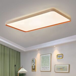 Lightsin Modern Dimmable LED Ceiling Light Flush Mount in 3 Sizes